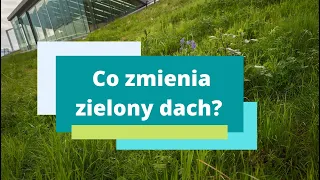 Zielony dach - doświadczenie z jedną różnicą