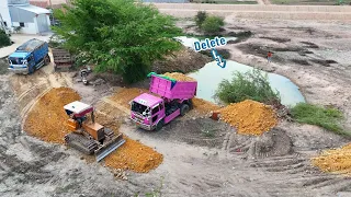Wonderful Expert Bulldozer Clearing Land And Fores Tree With DumpTruck Unloading