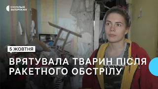 У Запоріжжі дівчина врятувала з-під завалів після ракетного обстрілу двох котів та пітонів | Новини