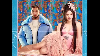 Me Gusta - Shakira ft Anuel AA (Audio Oficial)