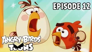 Angry Birds Toons | Happy Hippy  - S3 Ep12