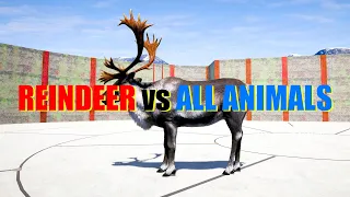 Far Cry 5 Arcade - Animal Fight: Caribou vs All Animals Battles (Reindeer Rampage)