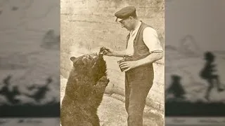 The bear who inspired Winnie-the-Pooh