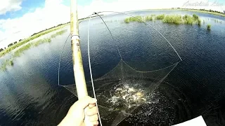 Рыбалка на подъёмник ПАУК, за час распугали всю рыбу