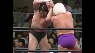AJPW - Ric Flair vs Riki Choshu