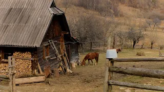 Mountains Beyond Civilization: An Intimate Glimpse into a Family's Secluded Paradise