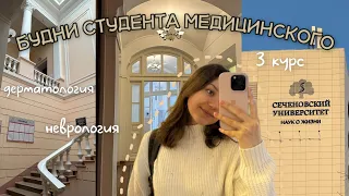 Vlog#8/новые циклы,учеба в Первом Меде/