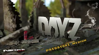 DayZ PVE ▶ Вайп. Старт нового сезона. Predators Medium #1