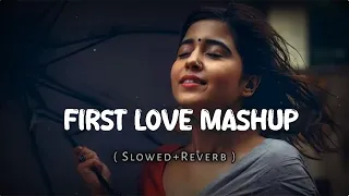 First Love Mashups Songs [ Slowed + Reverb ] || Janijani61233