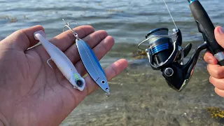 НА ЧТО клюёт? СИЛИКОН vs ЖЕЛЕЗО?! Рыбалка с Lange Fishing