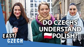 Do Czechs Understand Polish? | Easy Czech 20