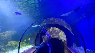 Amazing, Kyiv Ukraine aquarium vlog