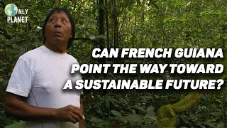 French Guiana: Inventing the forestry practices of tomorrow | Only Planet | FULL DOCUMENTARY