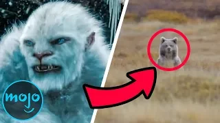 Top 5 Freaky Facts About Yetis