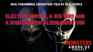 ELECTRIC GHOSTS, A BIG BIRD AND A NIGHTMARISH ALIEN ABDUCTION