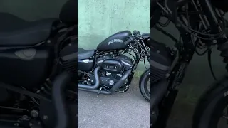 Harley Davidson Iron 883 BRUTAL SOUND!!