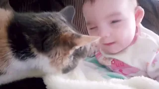 Cute Babies Playing With Cat's Compilation | Funny Baby And Pets Cool Peachy