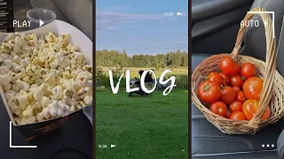 VLOG Palju pläku-pläku sellest mis on tulemas🤩