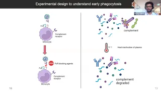 Longitudinal characterisation of anti-Spike antibodies mediated functions in COVID-19 patients