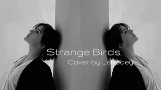 Birdy - Strange Birds | VOCAL COVER |  By Lehodey