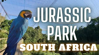 Complete walk through the largest aviary in the world: Birds of Eden in Plettenberg Bay