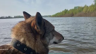 На другой берег Ахтубы