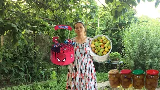 Surprise cake for 5-year-old Vagif I plucked pears from the tree and made jam for the winter.