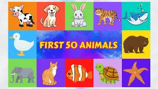 Discover the Wildlife Wonders : Meet the First 50 Animals for Kids! | Yippee Kids