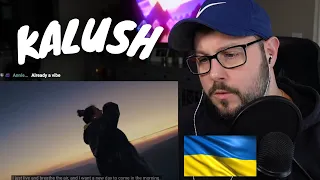 KALUSH feat. alyona alyona - Mountains REACTION