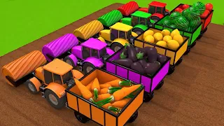 Harvesting Fruits and Vegetables with Tractors Learn Colors for Kids Children  ZORIP 4