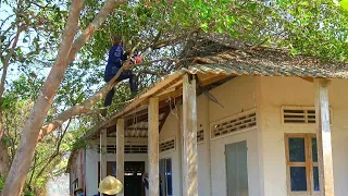 We took courage to tackle an old tree that was slowly swallowing the house