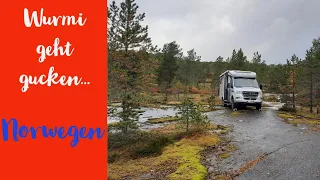 #010, Norwegen mit dem Wohnmobil, Hymer 580mlt 4x4, Vesteralen, Nordlichter,