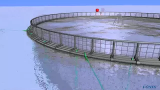 Fish Farming System in 3D