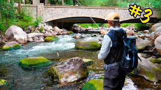 Fishing Creeks and Rivers for Brown Trout and Rainbow Trout || THE COLORADO SERIES