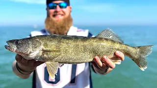 Legendary WALLEYE Captain Teaches Us HOW TO LIMIT (Lake Erie)