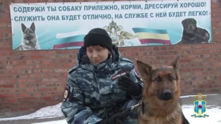 Ростовские полицейские пригласили студентов в центр кинологической службы