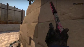 cs:go demo  (test)