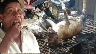 How to cook dog meat