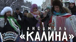 Играй, гармонь! | Ансамбль «Калина» (Самарская область) | Ах, гармонь, играй!..