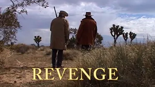 Western Gunfight: Revenge