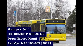 Сургут | Поездка на Маз 103.485 (2014) Р 363 АС 186 | Маршрут №11