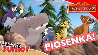 🦁 Drzewo życia | Lwia Straż | Disney Junior Polska