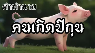 ดวงคนเกิดปีกุน(ปีหมู)🐷ตามลักษณะวันเกิดและเดือนเกิด #ดูดวง #ช่องแมวตาเพชร