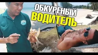 Обкуренный водитель. Опасный кокос. Успеть на самолет. Опять приключения