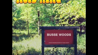 Acid King - Busse Woods [2004 | Full Album]