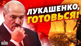 Лукашенко, готовься, Белгород был репетицией. Ополченцы могут пойти на Беларусь