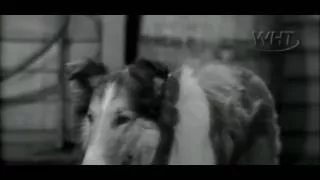 Lassie S02e30 Sunday School