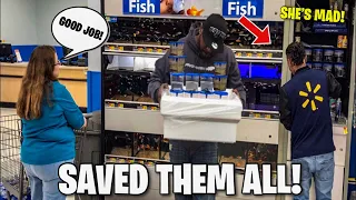 RESCUING ALL THE DYING BETTA FISH FROM HORRIBLE WALMART CONDITIONS!