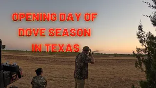 Dove Season Opening Day In Texas