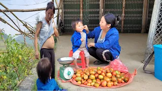 Mother and daughter harvesting tomatoes and go to the marketing to sell.@Daothixuan86